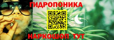 мдпв Можга